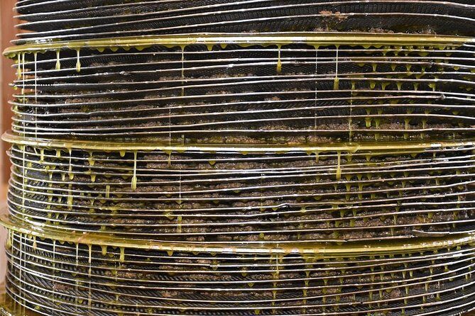Olive Oil Tasting Tour - Final Thoughts: Is It Worth It?