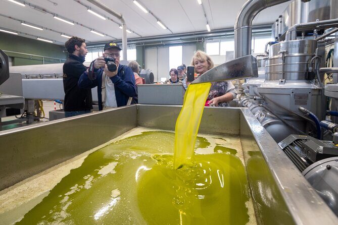 Olive Tree Tour, Visit Vallarella Oil Mill, Oil Tasting - Practical Details and Tips