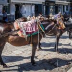 One Day Cruise to Hydra, Poros and Aegina from Athens - The Itinerary: A Deep Dive