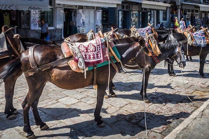 One Day Cruise to Hydra, Poros and Aegina from Athens - The Itinerary: A Deep Dive