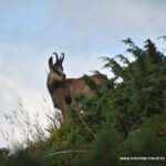 One day hiking on the spectacular trails of "Piatra Craiului"-group price - Overview of the Piatra Craiului Hiking Experience
