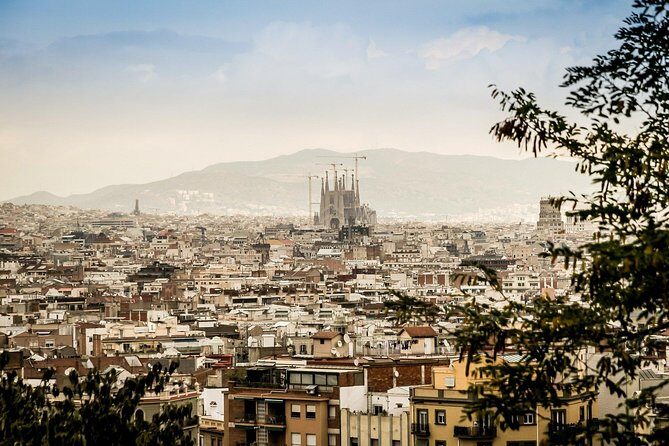 One-way Private Transfer From/To Barcelona Airport - Who Should Book This Transfer?