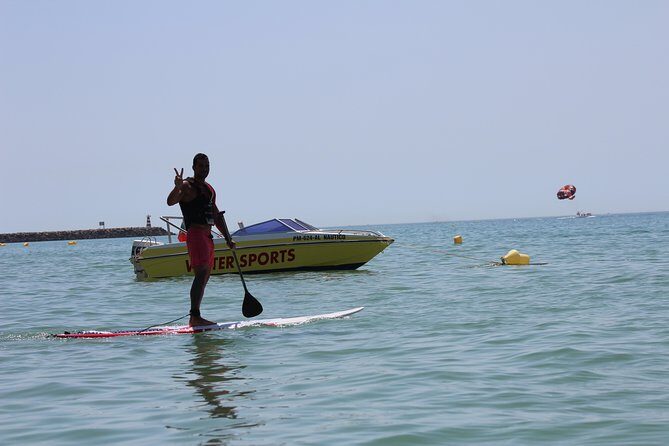 Paddle: SUP in Albufeira - Authentic Insights from Reviewers