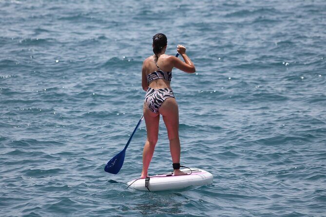 Paddle Surf - The Meeting Point and Location