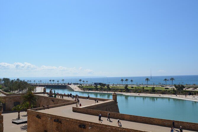 Palma de Mallorca Easy Bike Tour - Analyzing the Value