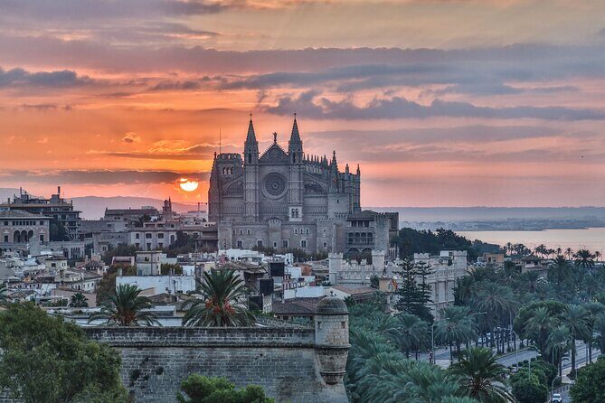 Palma de Mallorca : Private Custom Walking Tour with A Guide - The Tour Stops: What You Can Expect
