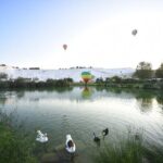 Pamukkale Day Trip With Option Hot Air Balloon From Antalya,Belek - What Travelers Are Saying: Real Insights