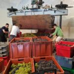 Paris Wine Day Tours exclusive Champagne tour incl. 3 visits - Price and Value