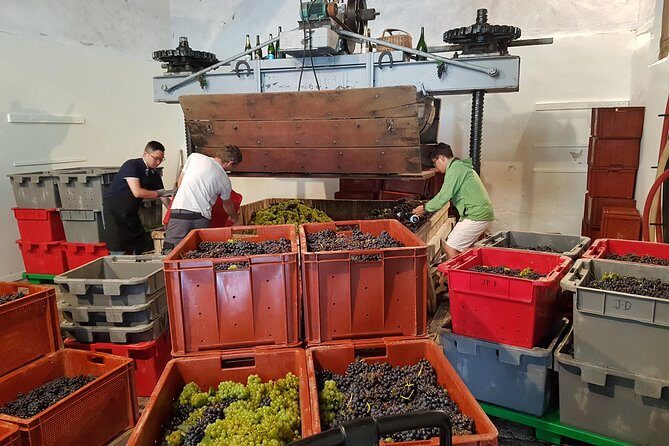 Paris Wine Day Tours exclusive Champagne tour incl. 3 visits - Price and Value