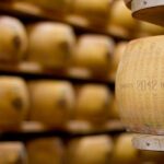Parmigiano Reggiano & Aceto Balsamico Tradizionale - Is This Tour Worth It?
