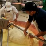 Parmigiano Wine and Balsamic Vinegar Experience from Bologna - Transportation, Group Size, and Value