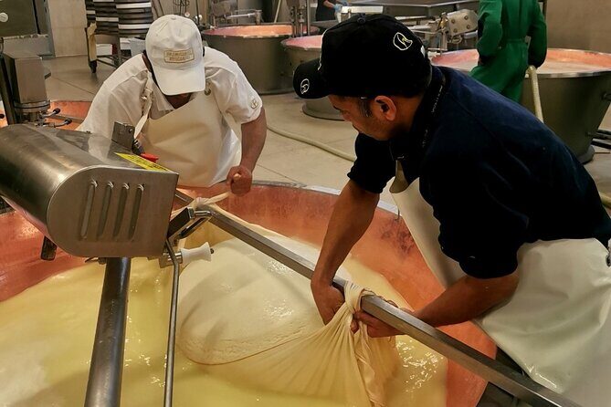 Parmigiano Wine and Balsamic Vinegar Experience from Bologna - Transportation, Group Size, and Value