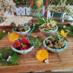 Pasta Class Cook Traditional -Sciacca-Wine included-Shuttle extra - Concluding Thoughts: Who Will Love This?