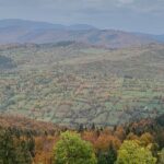 Peles castle and authentic Romanian village experience - day trip - Who is This Tour Best For?