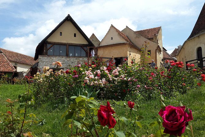 Peles Castle, Bran Castle, Rasnov Fortress and Sinaia Monastery Tour from Brasov - Transportation & Group Size