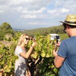 Penedes and Cava Winery Small Group Tour - Analyzing the Value: Is It Worth It?