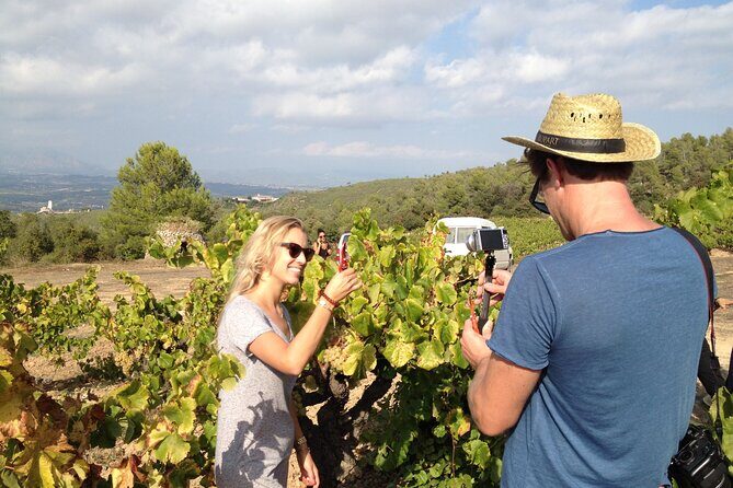 Penedes and Cava Winery Small Group Tour - Analyzing the Value: Is It Worth It?