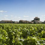 Pessac Leognan 4.5 hours Wine Tour in a Citroën 2CV from Bordeaux - What Reviewers Say