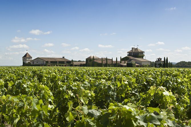 Pessac Leognan 4.5 hours Wine Tour in a Citroën 2CV from Bordeaux - What Reviewers Say
