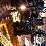 Picasso Museum and Walking Tour Plus Optional Wine & Food Tasting - A Closer Look at the Picasso Walking Tour Experience