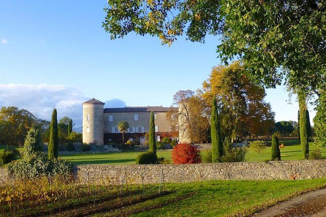 Picnic at the Château de la Selve! - The Experience in Detail