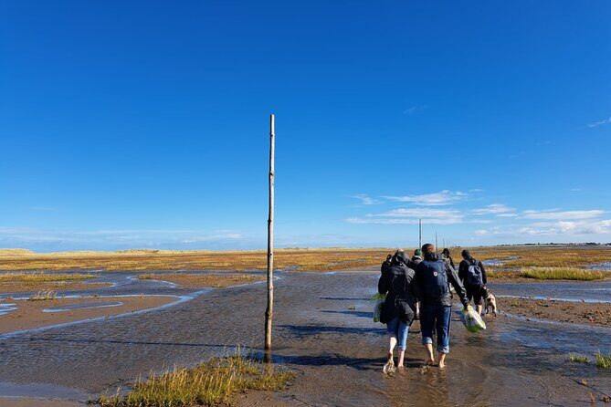 Pilgrims' Path walk across the sands to Holy Island - Who Will Love This Tour?