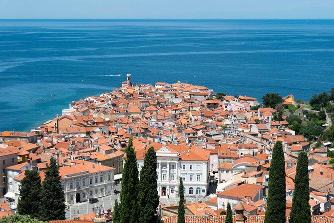 Piran Old Town Walking Tour - What You’ll Experience During the Tour