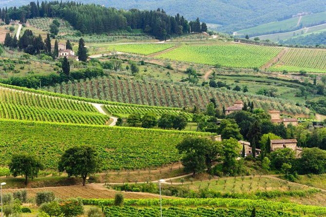 Pisa, San Gimignano and Chianti - Analyzing the Cost and Overall Value