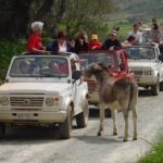Plakias, Spili and Kotsifou Canyon Jeep Safari 4x4 - What travelers say about this tour