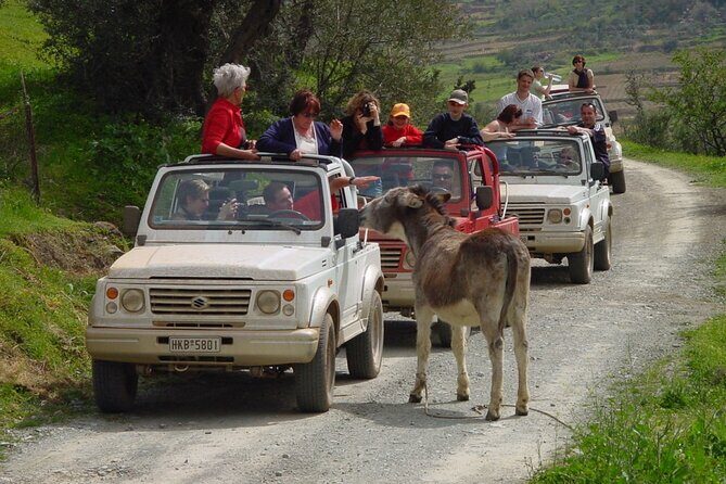 Plakias, Spili and Kotsifou Canyon Jeep Safari 4x4 - What travelers say about this tour