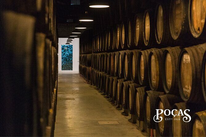 Poças Guided Visit and Port Wine Tasting with Pastel de Nata - A Detailed Look at the Itinerary