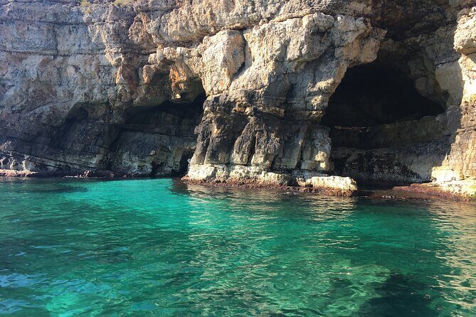 Polignano a Mare boat tour emotions, caves, diving and appetizers - The Authentic Experience: Why It Works