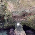 Polignano a Mare luxury boat tour, aperitif, diving and snorkeling - Why Choose This Tour?