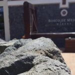 Pompei Archeological site and Wine tasting Experience - Who Should Consider This Tour?