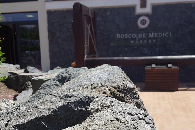 Pompei Archeological site and Wine tasting Experience - Who Should Consider This Tour?