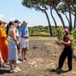 Pompeii and Vesuvius Wine Tasting Private Tour - Final Thoughts