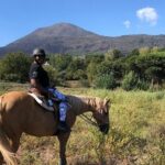 Pompeii Guided Tour & Horse Riding on Vesuvius with Lunch - Vesuvius Horseback Riding and Nature Experience
