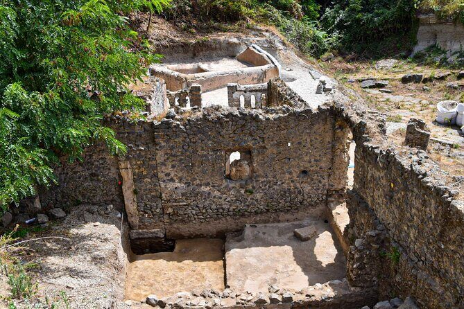 Pompeii Guided Tour & Lunch with Tasting at Two Vesuvian Wineries - Lunch and Tasting Experience