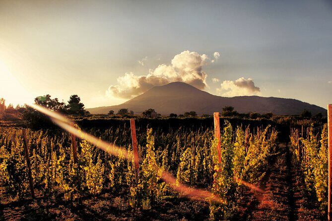 Pompeii with Wine Tasting and Lunch from Naples - The Craft Stop: Cameos and Corals Workshop