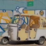 Porto Guided Tour to the Historical Center on a Tuk Tuk - The Experience and Guides