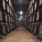 Porto Private Direct Transfer from Lisbon - Practical Details & Tips