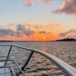 Porto: Private Yacht Cruise with Local Wine, Snacks and 6 Bridges - Practical Tips for Booking and Enjoying