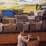 Porto: Wine Experience Musem with 3 Wine Tastings - Exploring the Experience: What to Expect at Each Step