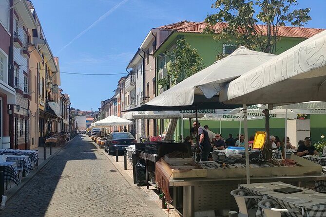 Porto with a Local Private City Tour and Lunch - Who Will Love This Tour?