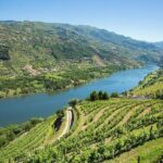 Premium Douro Valley Small-Group Tour, Wine Tasting, Lunch & Boat - Final Thoughts