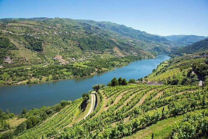 Premium Douro Valley Small-Group Tour, Wine Tasting, Lunch & Boat - Final Thoughts