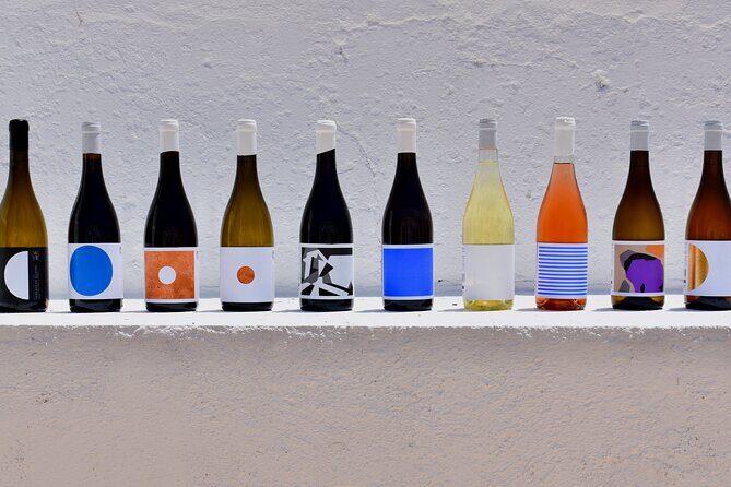 Premium Vineyard Tour & Tasting - Who Will Love This Tour?