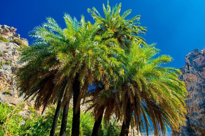 Preveli Palm Beach Boat Cruise & Rethymnon Town from Heraklion - Authentic Experiences and Practical Tips