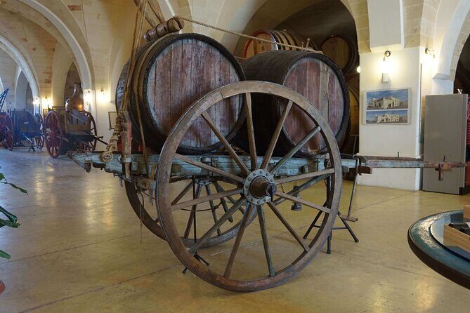 Primitivo and Negroamaro wine tour: a visit to two wineries and typical lunch. From Lecce - Practical Details and Value