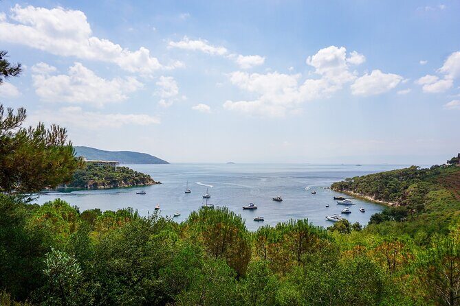 Princes' Islands Cruise with Lunch and Transfer Full-Day Tour - The Sum Up